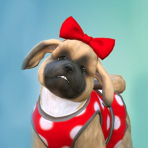 The Sims™ 4 Cats & Dogs for PC/Mac | Origin